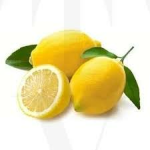 LemonArmyNoKiwi