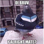 SUNNY MAN