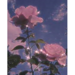 Jxnnx’s angxiis