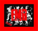 E.M.R.