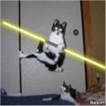 The empire of sparkles