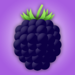BloxBerry Studios