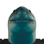 The Shark??Roar's