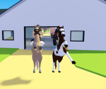 horse valley riding group!