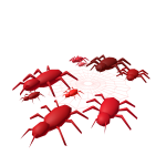 Poisonous Spiders Crew