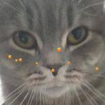Fan Im_crazYdaniil [OFFICAL]