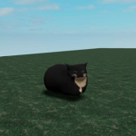 United States of the Cats