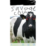 SAVAGE COWS ARMY