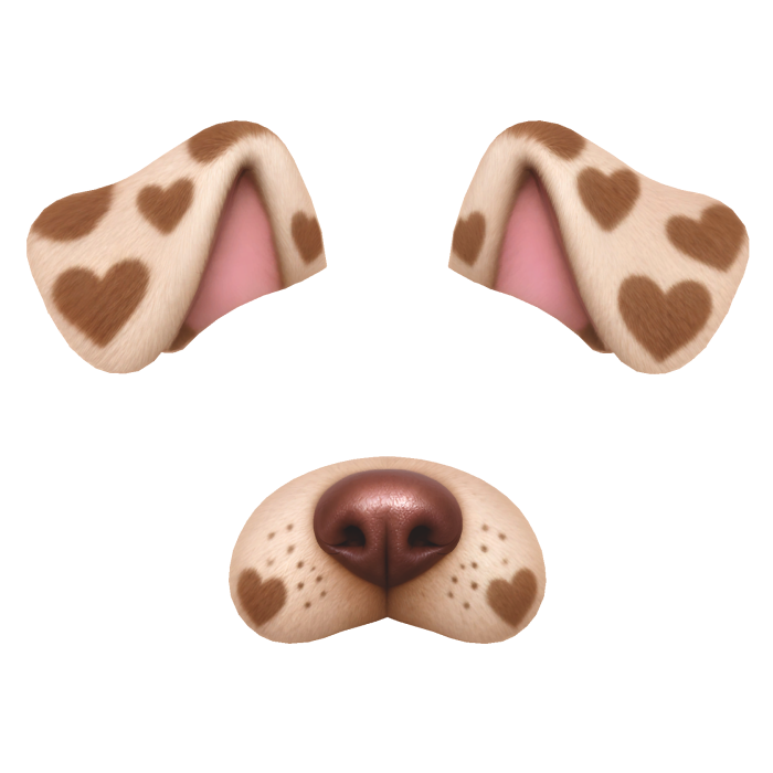 Dog Filter