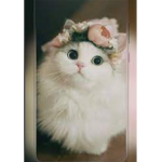 **sunnys clothing<3**