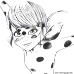 Miraculous ladybug fans!!