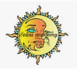 |~*Selini Academy*~|