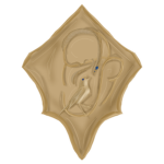 SB&S FOUNDATION [SCP INSPIRED]