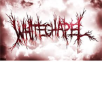 Heavy Metal and Rock group!