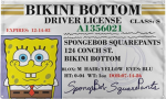 RRP Remastered: Licensed Drivers