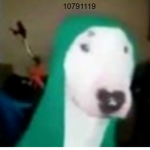 pog doge