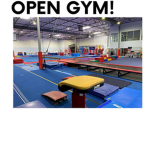 Cheer, gymnast, dancers officially group!