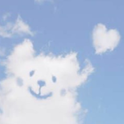 see