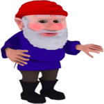 T Gnomes