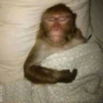 H_zzz0