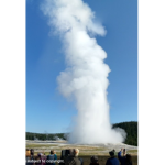 Steam hot Arizona