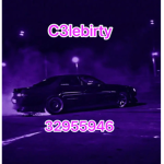 C3lebirty’s palace