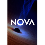 Novas studio's