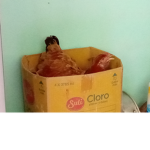 AzulXD