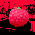 Raspberry Syrup Factory LTD.