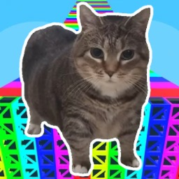 Oiiai Cat Obby