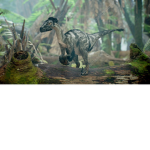 Shadow Raptor X