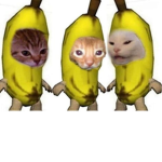 YT givaways