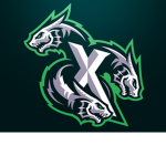 RaiderZx