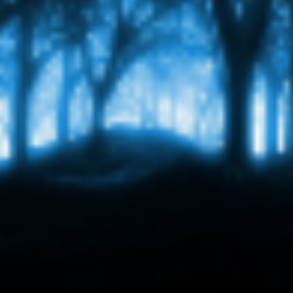 Dark Forest H Roblox decal
