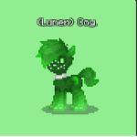 koala.jpg studios