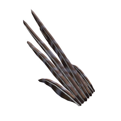 Roadrunner Tail