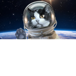 Space Pod Cat Studios