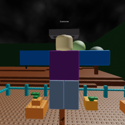 Zombie Infection