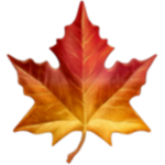 Mykayla's clothing