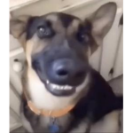 wajddddddddddddddddddddddddddddddddddddddddddddddd