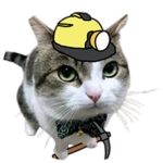Miner Wawa
