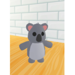Koalas place