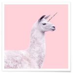 happy drama lama