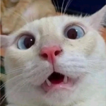 codueu