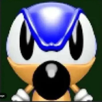 The sonic fan boy group