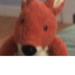 Crazy Kangaroo Group