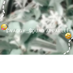 ~sᴡᴀɢɢʏ_sǫᴜᴀᴅ ᴀᴘᴘᴀʀᴇʟ!~
