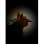 Rusty is awesome