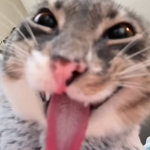 M00NSP4C3