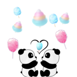 CottonCandyPanda Group